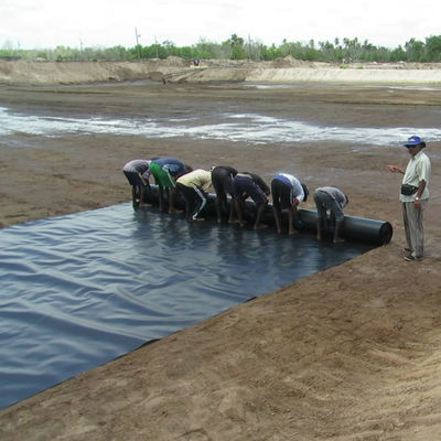 Materiale Geosky HDPE Fabbrica di pesci Pond Liner Lunghezza 50m-100m Nero Geomembrana impermeabile