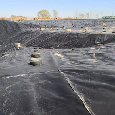 Vendita diretta Geomembrana liscia in HDPE con addestramento in loco e spessore da 0,1 mm a 2,5 mm