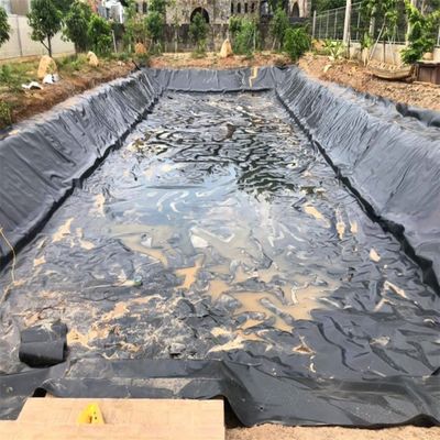 Spessore 0,3 mm-3,0 mm Geomembrana di stagno per stagno artificiale in HDPE nero