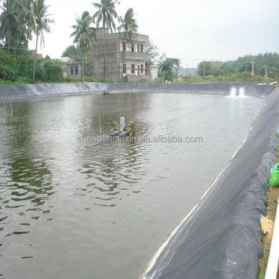 Geomembrana nera di HDPE ecologica per stagni di pesci ASTM GRI-GM13 Standard
