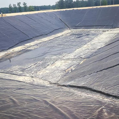 Geomembrana resistente agli acidi e agli alcali per stagni per pesci Nero colore Standard ASTM GRI-GM13