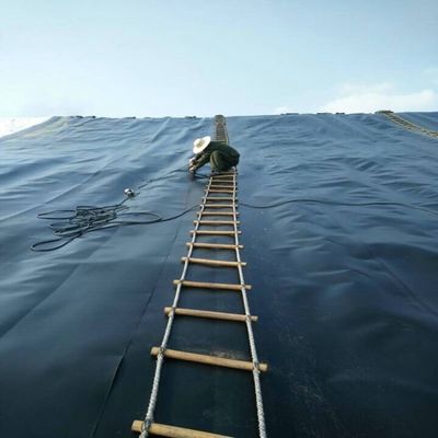 ASTM GRI-GM13 Geomembrana in HDPE standard da 1 mm per applicazioni in stagni di pesce e discariche