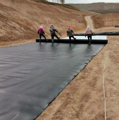 ASTM GRI-GM13 Standard 1mm 2mm HDPE Geomembrane Fish Pond Liner per l'allevamento ittico