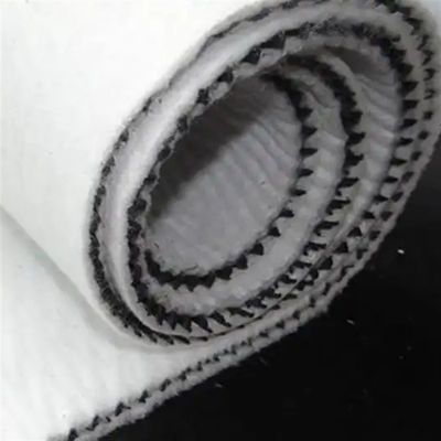 4 mm-8 mm di spessore Rete composita HDPE Rete di drenaggio a fornitura diretta per il colore bianco