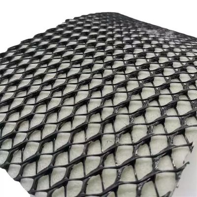 densità Polietilene Certificazione di plastica Geocompositi Drenaggio GEONET per la lavorazione della terra