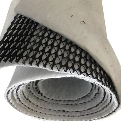 Mesh HDPE 3D composto di drenaggio composto Geo Net Geonet nero bianco per le vostre esigenze