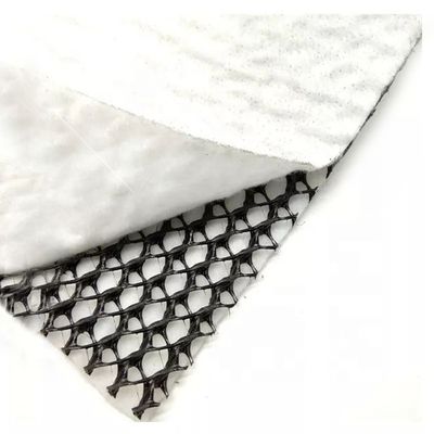 Mesh HDPE 3D composto di drenaggio composto Geo Net Geonet nero bianco per le vostre esigenze