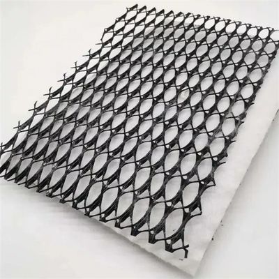 Mesh HDPE 3D composto di drenaggio composto Geo Net Geonet nero bianco per le vostre esigenze