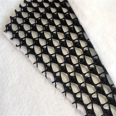 Mesh HDPE 3D composto di drenaggio composto Geo Net Geonet nero bianco per le vostre esigenze