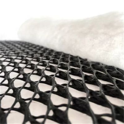 Mesh HDPE 3D composto di drenaggio composto Geo Net Geonet nero bianco per le vostre esigenze