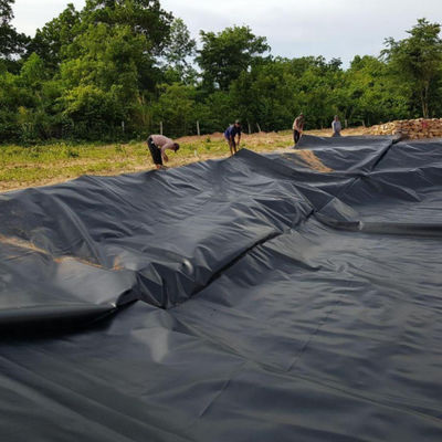 Geomembrana in HDPE Nero Bianco Blu Verde 1,0 mm 1,5 mm 2 mm per acquario di pesci