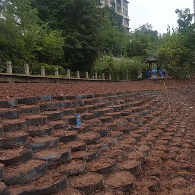 Geocella in HDPE liscia e testurizzata per il mantenimento delle categorie di croce di parete e del disegno industriale