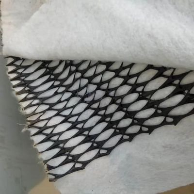 Larghezza 2m-4m Geotextile composito plastica Geonet Rete di drenaggio per soluzioni di progetto