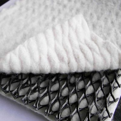 Larghezza 2m-4m Geotextile composito plastica Geonet Rete di drenaggio per soluzioni di progetto
