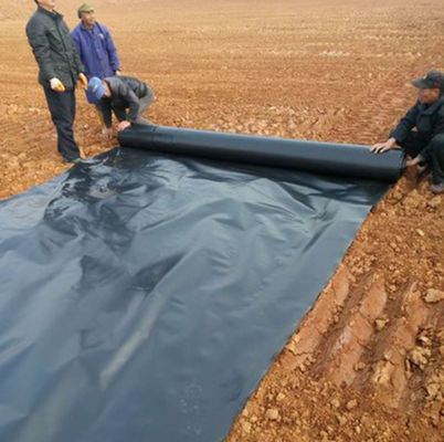Capacità di soluzione del progetto Geomembrana in HDPE per piscicoltura