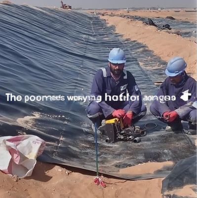 Capacità di soluzione del progetto Geomembrana in HDPE per piscicoltura