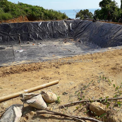 Capacità di soluzione del progetto Geomembrana in HDPE per piscicoltura