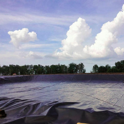ASTM GRI-GM13 Geomembrana in HDPE standard per stagno di salinatura di allevamenti di pesci e gamberetti