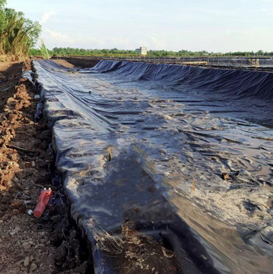 ASTM GRI-GM13 Geomembrana in HDPE standard per stagno di salinatura di allevamenti di pesci e gamberetti