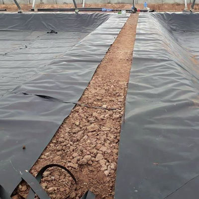 0.2mm-3mm Spessore Anti-UV HDPE Pond Liner per protezione personalizzabile stagno