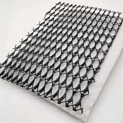 Geocomposite Drainage GEONET Composite Drain Net con certificazione CE/ISO9001/ISO14001