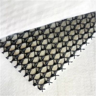 Geocomposite Drainage GEONET Composite Drain Net con certificazione CE/ISO9001/ISO14001