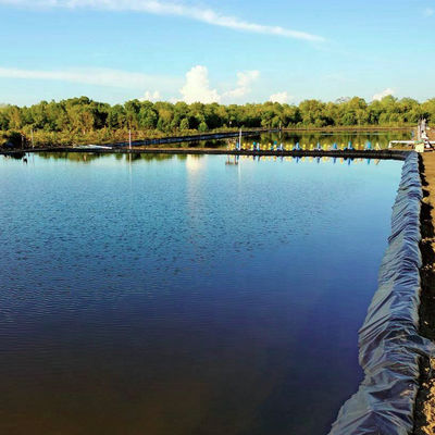 Geomembrana Pond Liner HDPE Geomembrana Liner Superficie entrambi i lati lisci 0,75mm 1mm 2mm