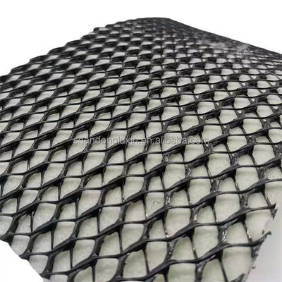 CE/ISO9001/ISO14001 Certificata rete di drenaggio 3D Geonet per costruzioni stabili