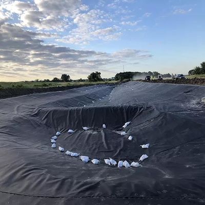Geomembrana in HDPE per rivestimento di stagni impermeabili da 0,5 mm a 1,5 mm a 2 mm