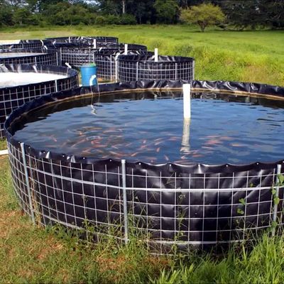 Geomembrana in HDPE per rivestimento di stagni impermeabili da 0,5 mm a 1,5 mm a 2 mm