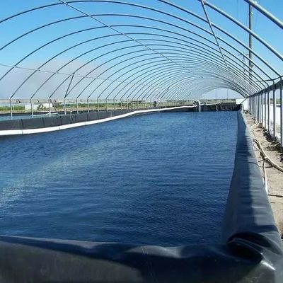 Geomembrana in HDPE per rivestimento di stagni impermeabili da 0,5 mm a 1,5 mm a 2 mm