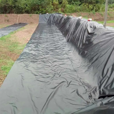 Fogli di geomembrana doppia liscia in HDPE per rivestimenti impermeabilizzanti per stagni Larghezza 1m-8m