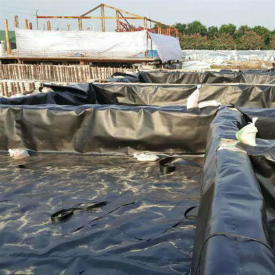 Geomembrana in HDPE doppio liscio per piscicoltura e acquacoltura