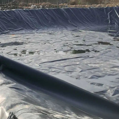 Geomembrana in HDPE doppio liscio per piscicoltura e acquacoltura
