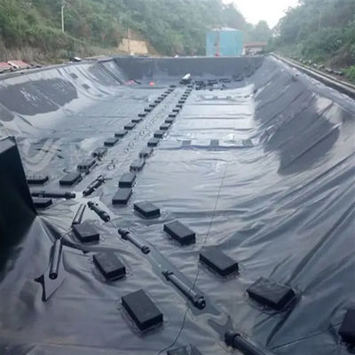 Geomembrana in HDPE doppio liscio per piscicoltura e acquacoltura