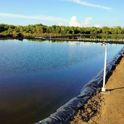 Spessore 0,2 mm-3 mm 0,5 mm Geomembrana in HDPE per acquari e stagni di allevamenti ittici