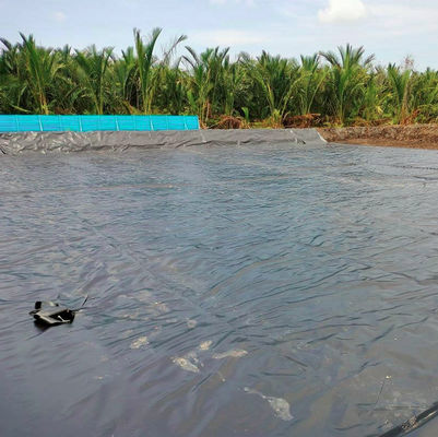 Spessore 0,2 mm-3 mm 0,5 mm Geomembrana in HDPE per acquari e stagni di allevamenti ittici