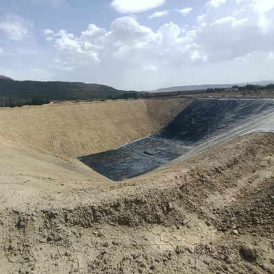 Spessore 0,2 mm-3 mm 0,5 mm Geomembrana in HDPE per acquari e stagni di allevamenti ittici