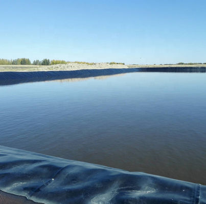 Soluzione professionale per il rivestimento di stagni di pesce Membrana idrossiponente in HDPE per la progettazione di modelli 3D