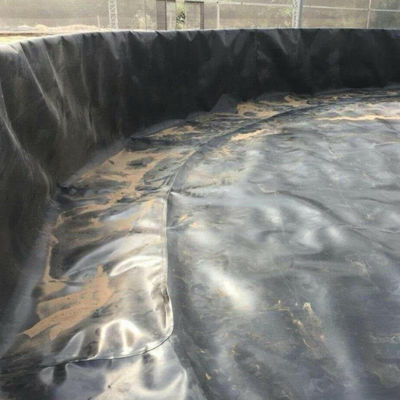 Soluzione professionale per il rivestimento di stagni di pesce Membrana idrossiponente in HDPE per la progettazione di modelli 3D