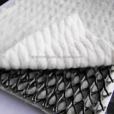 Disegno industriale Paesaggistico Drainage Mat 3D Composite Drainage Geonet Compound Net