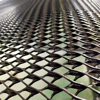 Disegno industriale Paesaggistico Drainage Mat 3D Composite Drainage Geonet Compound Net