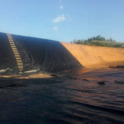 Anti-UV HDPE Pond Liner 1 mm Lunghezza 50-200m per discariche Geomembrane impermeabili da 0,7 mm