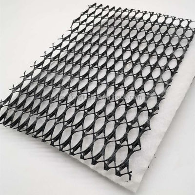 Mesh HDPE 3D composto di drenaggio composto Geo Net Geonet per serbatoi Lunghezza 100m