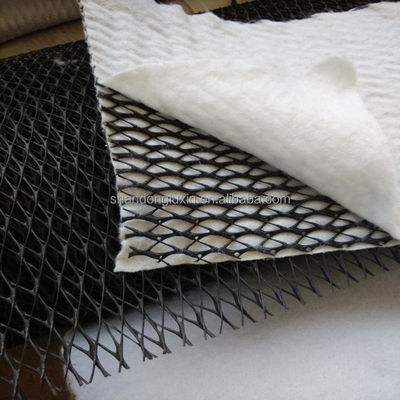 Mesh HDPE 3D composto di drenaggio composto Geo Net Geonet per serbatoi Lunghezza 100m