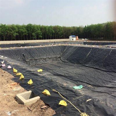 2mm HDPE Plastic Pond Liner come Acquario Acqua Impermeabile per i vostri bisogni agricoli