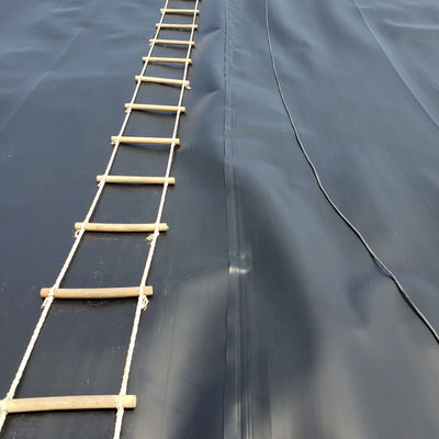 ASTM GM13 Standard HDPE Geomembrane Liner 0,3 mm 0,5 mm 0,75 mm 1 mm per i mercati nazionali