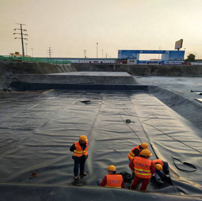 ASTM GM13 Standard HDPE Geomembrane Liner 0,3 mm 0,5 mm 0,75 mm 1 mm per i mercati nazionali