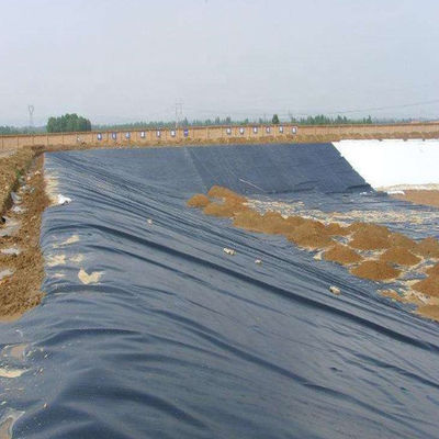 ASTM GM13 Standard HDPE Geomembrane Liner 0,3 mm 0,5 mm 0,75 mm 1 mm per i mercati nazionali