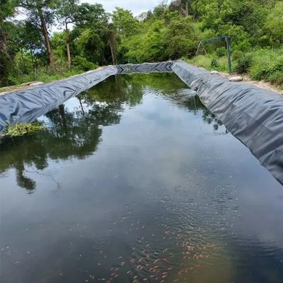 Geomembrane 1mm 2mm Acque resistenti Acquario di diga rivestimento Piscina Pesce stagno agricoltura rivestimento HDPE